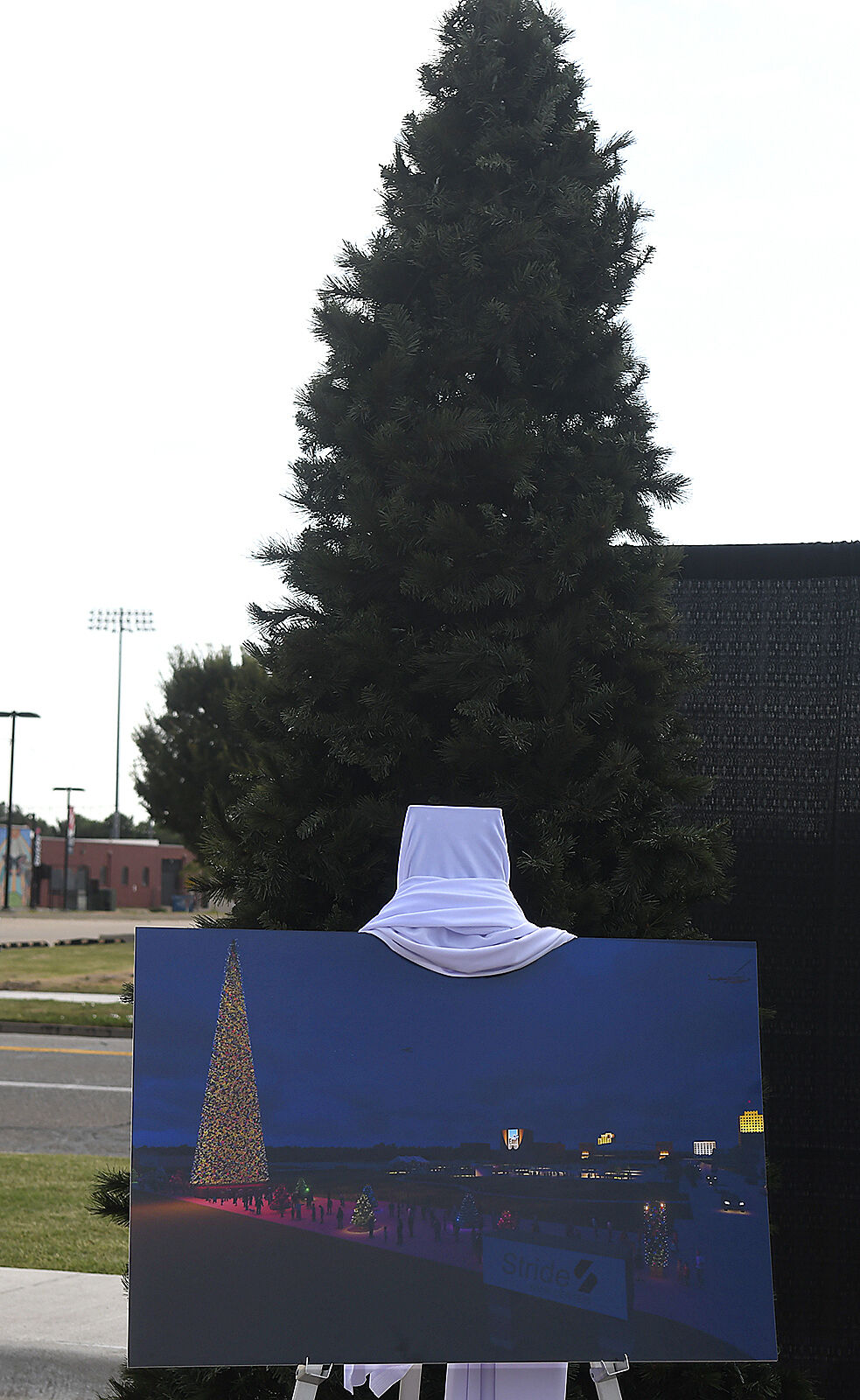 210908-news-christ tree BH.jpg